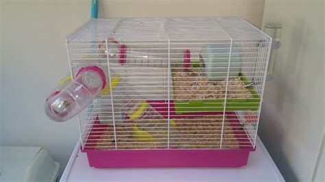 Roborovski Hamster Cages