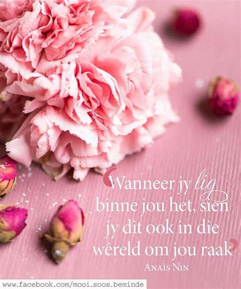 Afrikaanse Inspirasie Afrikaans Quotes Afrikaanse Quotes