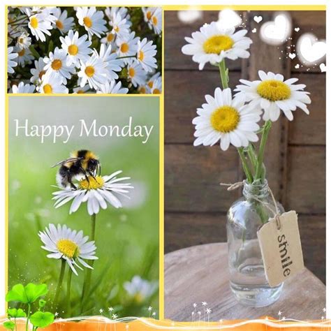 Monday Collage Pretty Flowers Pictures Beautiful Collage Monday
