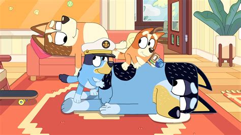 Bluey New Episodes Abc Iview