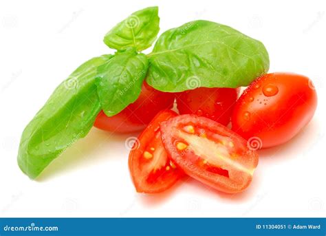 Fresh Basil And Tomatoes Stock Image Image Of Produce 11304051