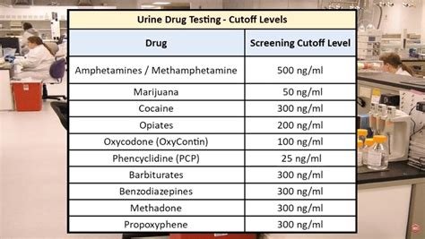 Drug Cut Off Levels And Detection Times National Drug Screening