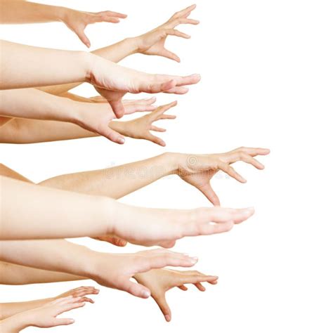 Many Hands Reaching Sideways Stock Photo Image Of Group Grasp 33209490