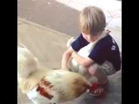 Boy Hugging A Chicken Pure Love Director S Cut Youtube