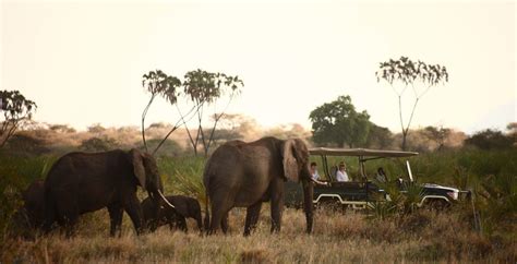 How To Get To Meru National Park Kenya Kenya Safari Tours