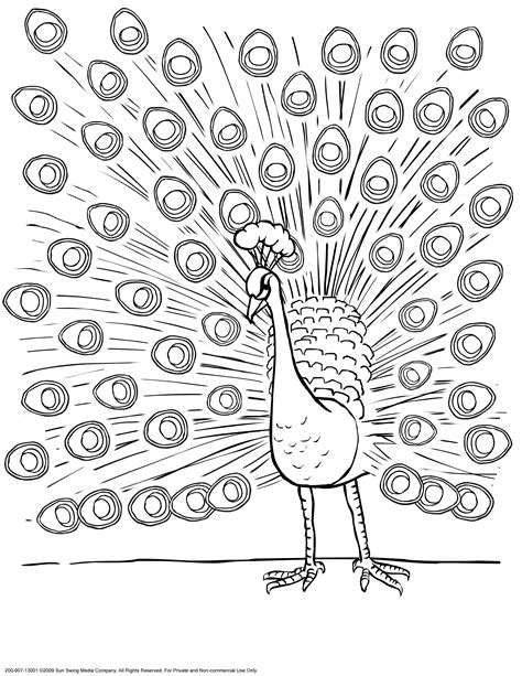 What better way to relax on a hot summer day than to chill in the shades and color this peacock coloring page for adults! Peacock feathers coloring pages download and print for free