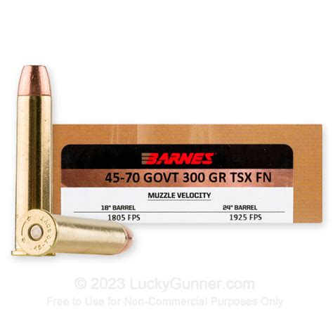 45 70 Government Ammo For Sale 300 Gr Federal Fusion Ammo Online
