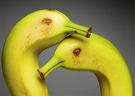 Banana Ducks Photograph By Cacio Murilo De Vasconcelos Fine Art America