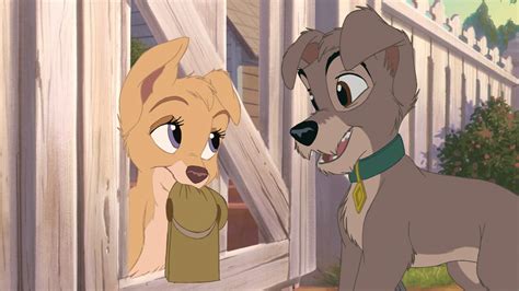 How Old Do You Think Scamp And Angel From Lady And The