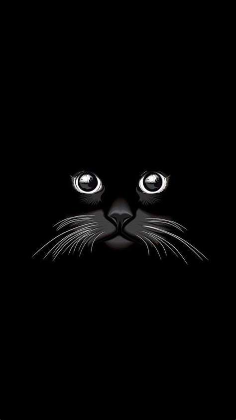 Pin Oleh Samantha Keller Di Animal Dark Cat Hd Phone Wallpaper Pxfuel