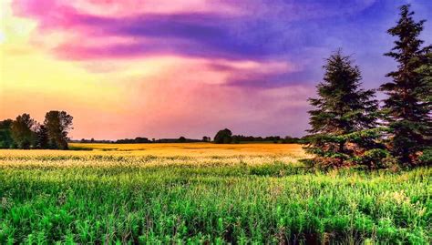 Dusk Color Sky With Grassy Field Image Free Stock Photo Public