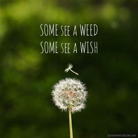 Maybe you would like to learn more about one of these? Dandelion Wishes! | Wish quotes, Spring quotes, Beautiful quotes