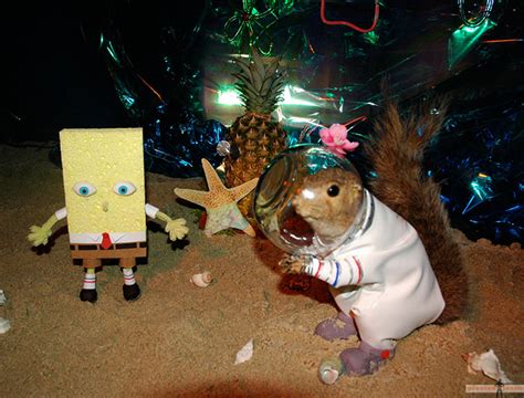 Pics Photos Real Life Spongebob Found