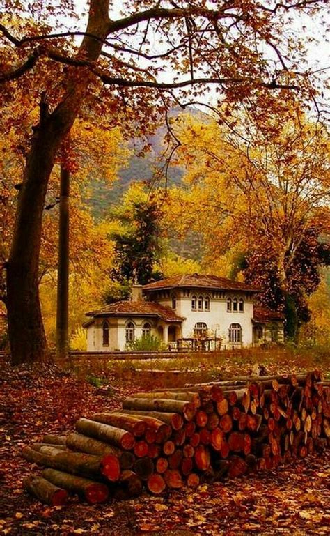 Pin By Mona Moni On Vjeshta Autumn Landscape Autumn Scenery Autumn