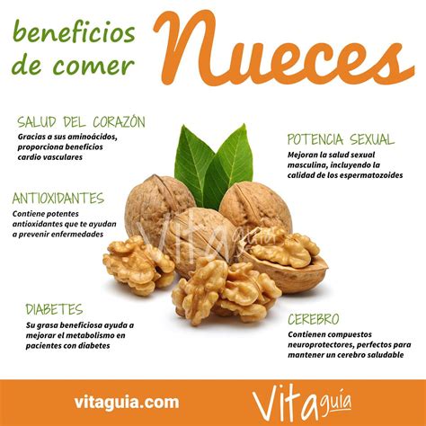 Propiedades De Las Nueces Y Sus Beneficios Para La Salud Beneficios