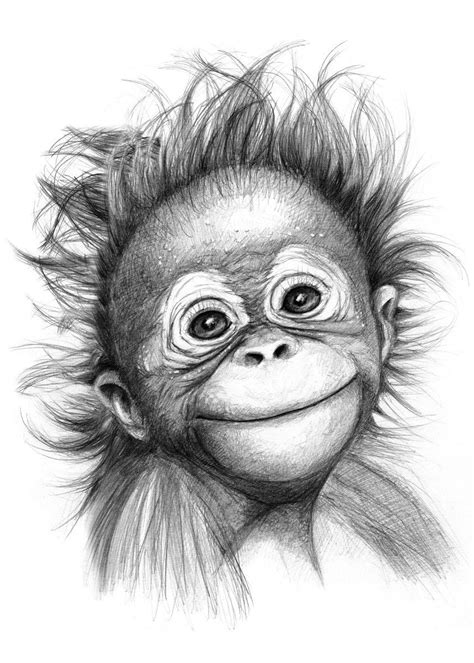 Happy Orang Outan Baby G2015 121 Graphite Drawing By S Poster By