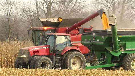 Corn Harvest 2020 Case Ih 6140 Axial Flow Combine Harvesting Corn