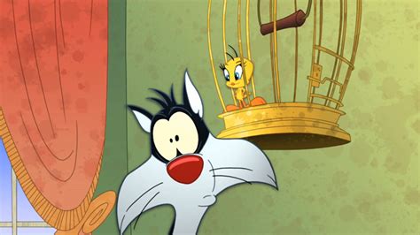 Image Tweety Sylvesterpng The Looney Tunes Show Fanon Wiki
