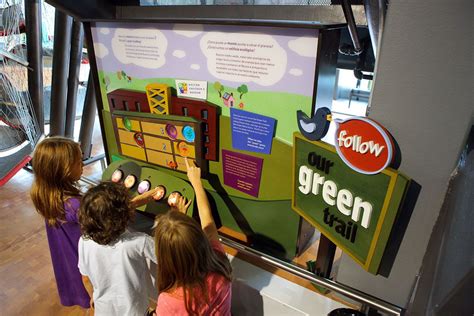 Boston Childrens Museum Green Trail Exhibit | Childrens museum, Toddler activities, Childrens 