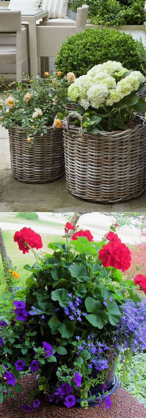 24 Stunning Container Garden Planting Designs Page 3 Of 3 A Piece