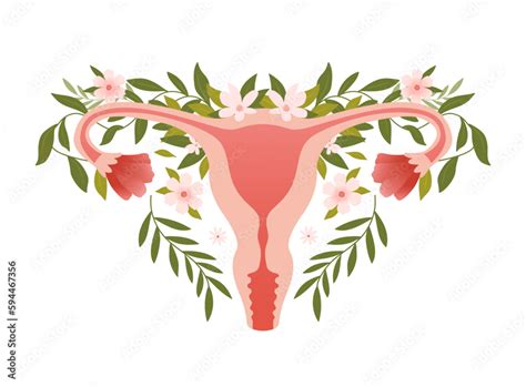 Women Reproductive System With Flowers Vector Illustration Female Health Gynecology Internal