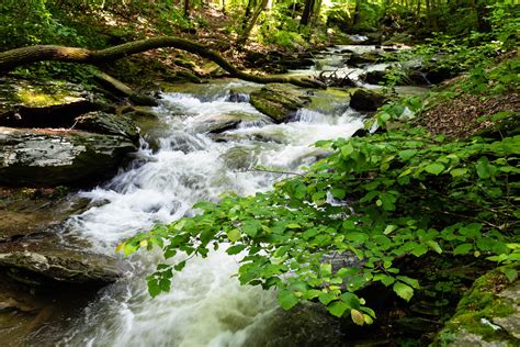 Rivers and Streams | Chesapeake Bay Program