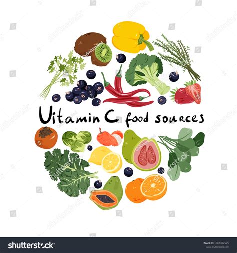 Vitamin C Food Sources Information Banner Stock Vector Royalty Free