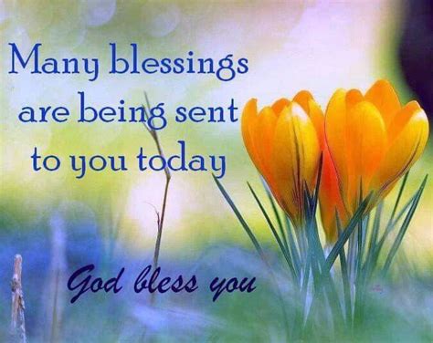 20 Inspiration Life Daily Blessings Quotes Poppy Bardon Blessings