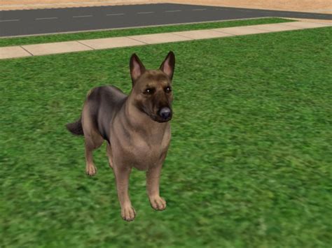 Mod The Sims The Amazing German Shepherd My Favorite Breed 5