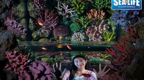 Sea Life Bangkok Ocean World 40 Off For Pre Booking Only Takemetour