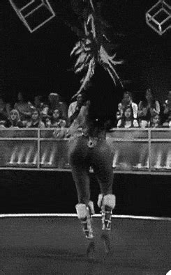 Booty GIF Find Share On GIPHY