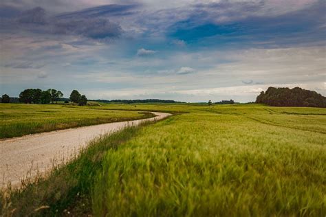 Flat Landscape Of Road And Wheat Meadows Creative Commons Bilder