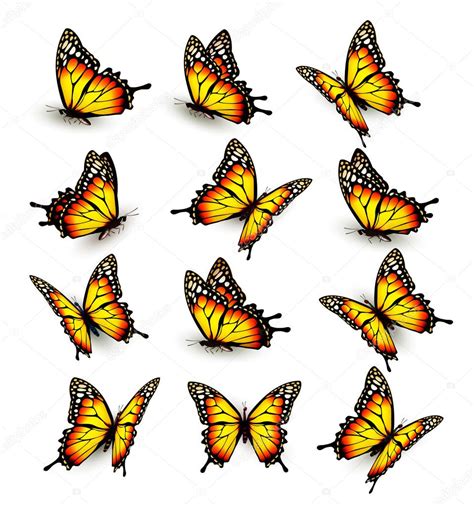 Colección De Mariposas Amarillas Volando En Diferentes Direcciones 2022