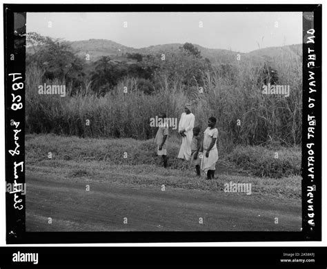 Uganda. From Hoima to Fort Portal. Types along the roadside. Elephant