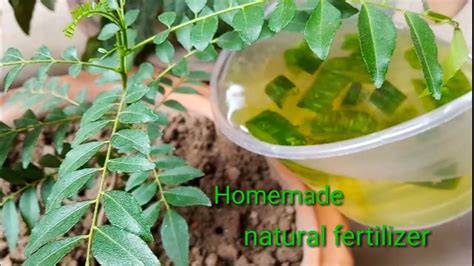 Check spelling or type a new query. Best homemade natural fertilizer for any plants (liquid ...