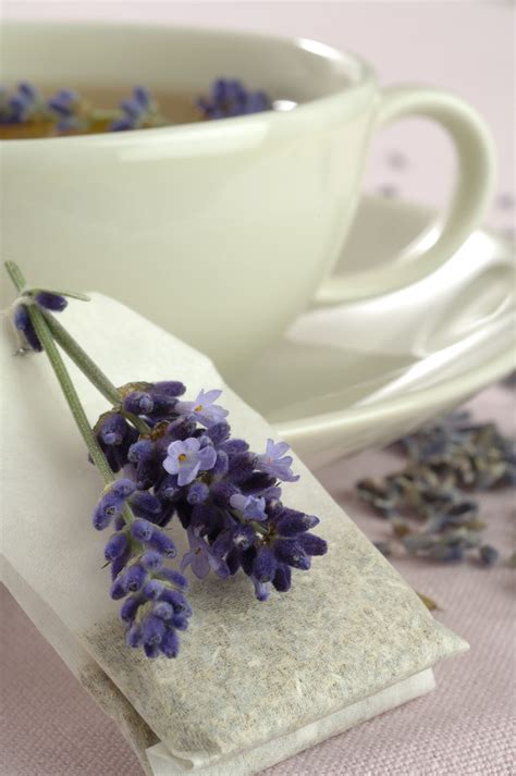 Lavender Tea Lavender Tea Recipe