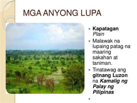 Anyong Lupa Na Makikita Sa Mindanao Anyong Pataga