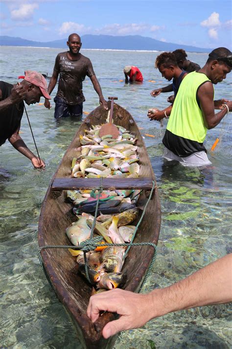 Solomon Islands Melisarhion