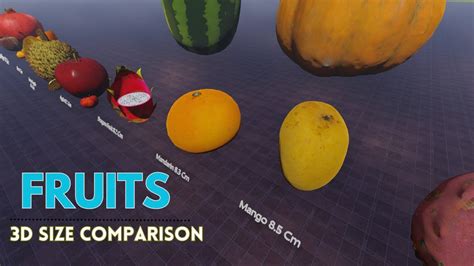 Fruit Size Comparison 3d 2023 Youtube