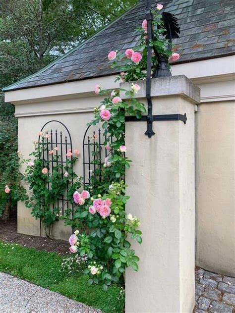 26 Functional Diy Rose Trellis Ideas Balcony Garden Web