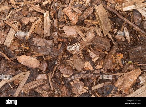 Wood Chips For Landscaping In The Gardens Nature Texture Background