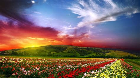Colorful Nature Landscape Wallpaper
