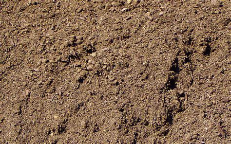 Maybe you would like to learn more about one of these? Soil & Compost - Earth City Supply