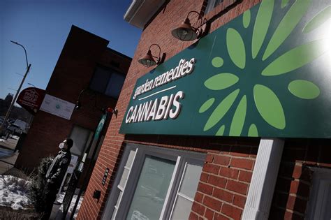 These are the best cannabis dispensaries in Mass., according to readers
