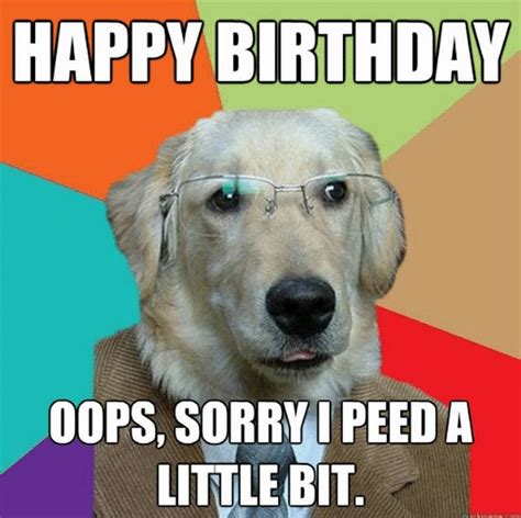 101 Funny Happy Birthday Dog Memes For Paw Lovers Everywhere Work