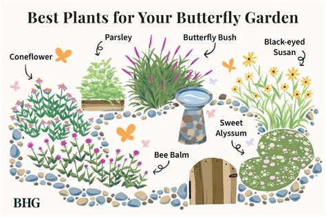 Attract Pollinators To Your Yard With This Butterfly Garden Plan