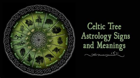 Which Celtic Tree Zodiac Sign Are You And What It Says About You