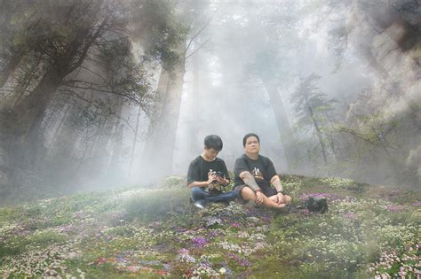 Free Download Hd Wallpaper Visual Brothers Manipulation Forest