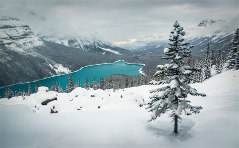 Landscape Nature Winter Lake Snow Mountain Forest Turquoise