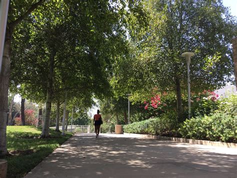 Untitled | UC Riverside Undergraduate Admissions | Flickr